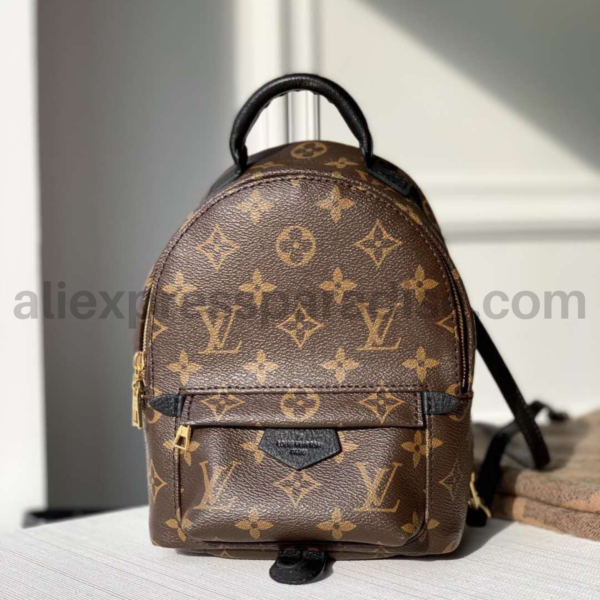 LV Palm Springs Mini backpack